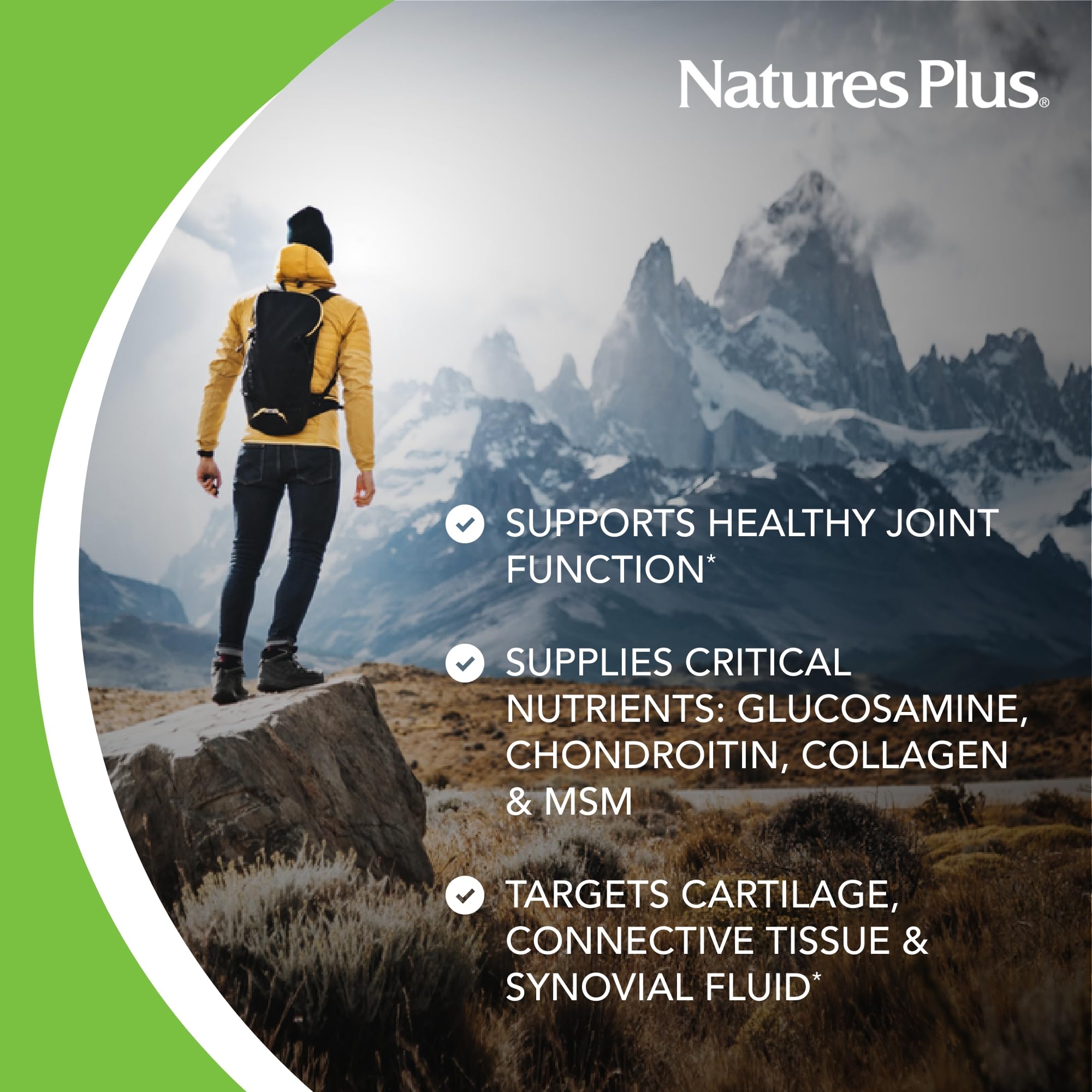 Ingrédients glucosamine, chondroïtine et MSM visibles dans le flacon Ultra Rx-Joint.