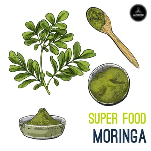Suggestion d’énergie quotidienne grâce à la poudre de moringa Naturevibe Botanicals