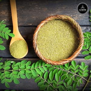 Poudre moringa avec scoop inclus, dosage pratique pour recettes