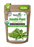 Naturfi Organic Poudre plante insuline visuel, idéale dans un smoothie quotidien