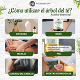 NaturoBliss Tea Tree — diffusion quotidienne simple et efficace.