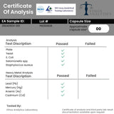 Naturonel Complete Gut Restore – packaging présentable, pratique pour l'utilisation quotidienne.