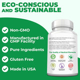 Capsules ouvertes avec poudre de spiruline Nautical Elements – mélange rapide.
