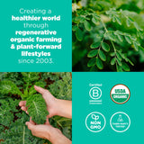 Ingrédients Navitas Organics Superfood+ Greens: moringa, chou frisé et blé d’herbe pour énergie naturelle.