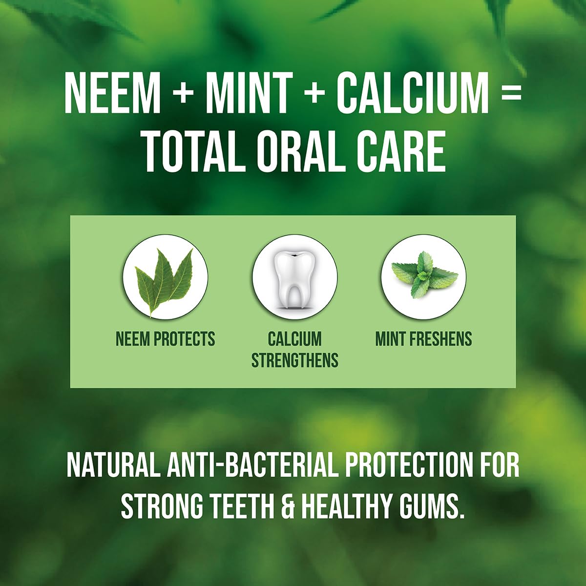 Neem Active dentifrice ingrédients, met en avant le calcium carbonate et les composants naturels.