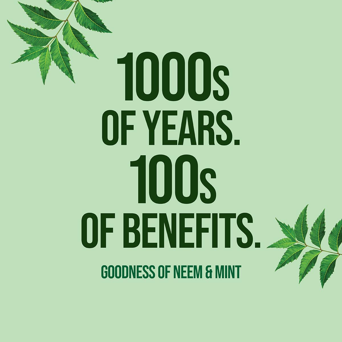 Neem Active dentifrice menthe fraîche sur emballage, haleine plus fraîche après le brossage.