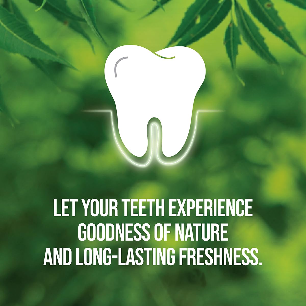 Neem Active dentifrice texture mousse, sensation douce lors du brossage quotidien.