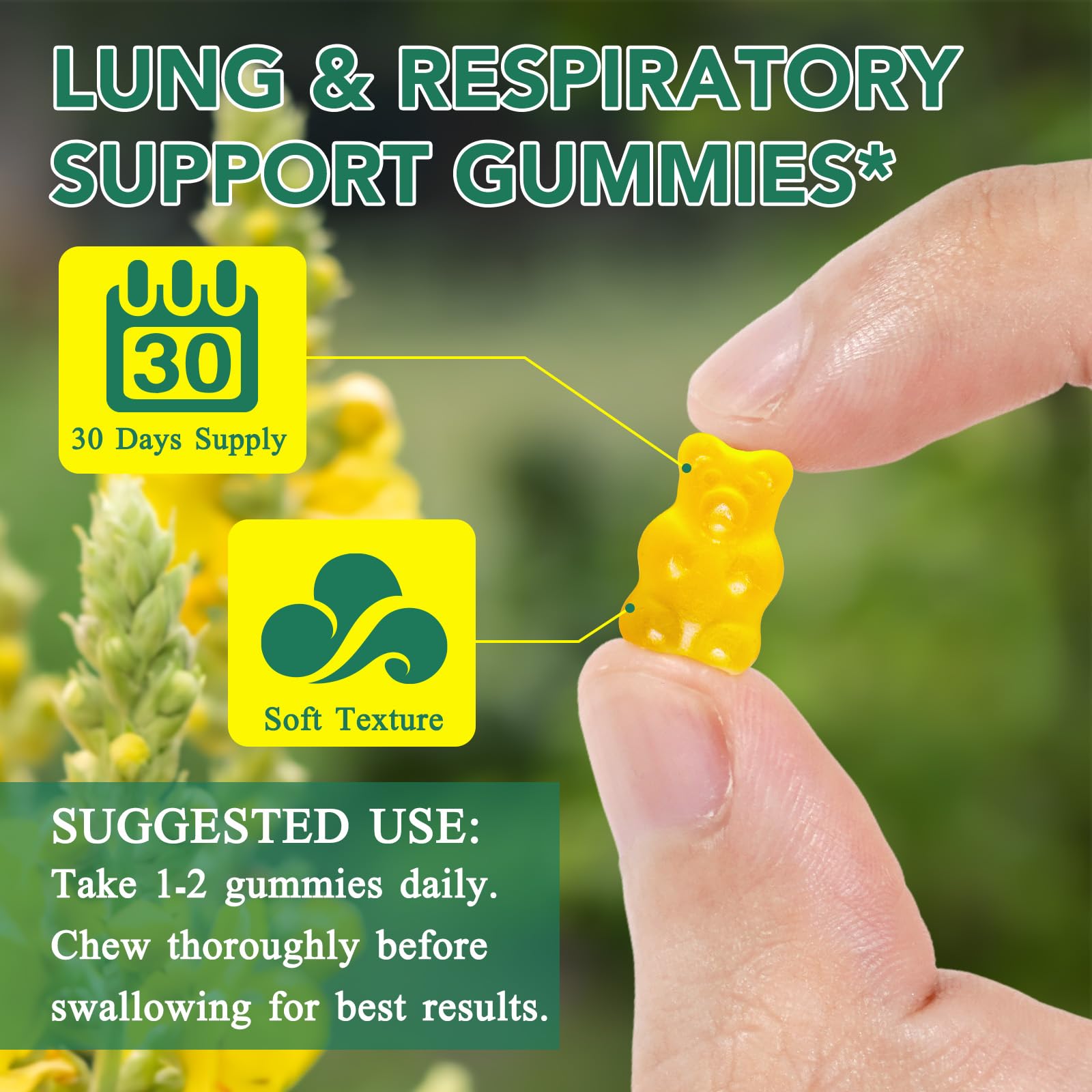 NenMaoKeNu gommes immunite – potentiel soutien immunitaire.