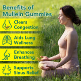 NenMaoKeNu gommes respiration-plus – respiration plus fluide.