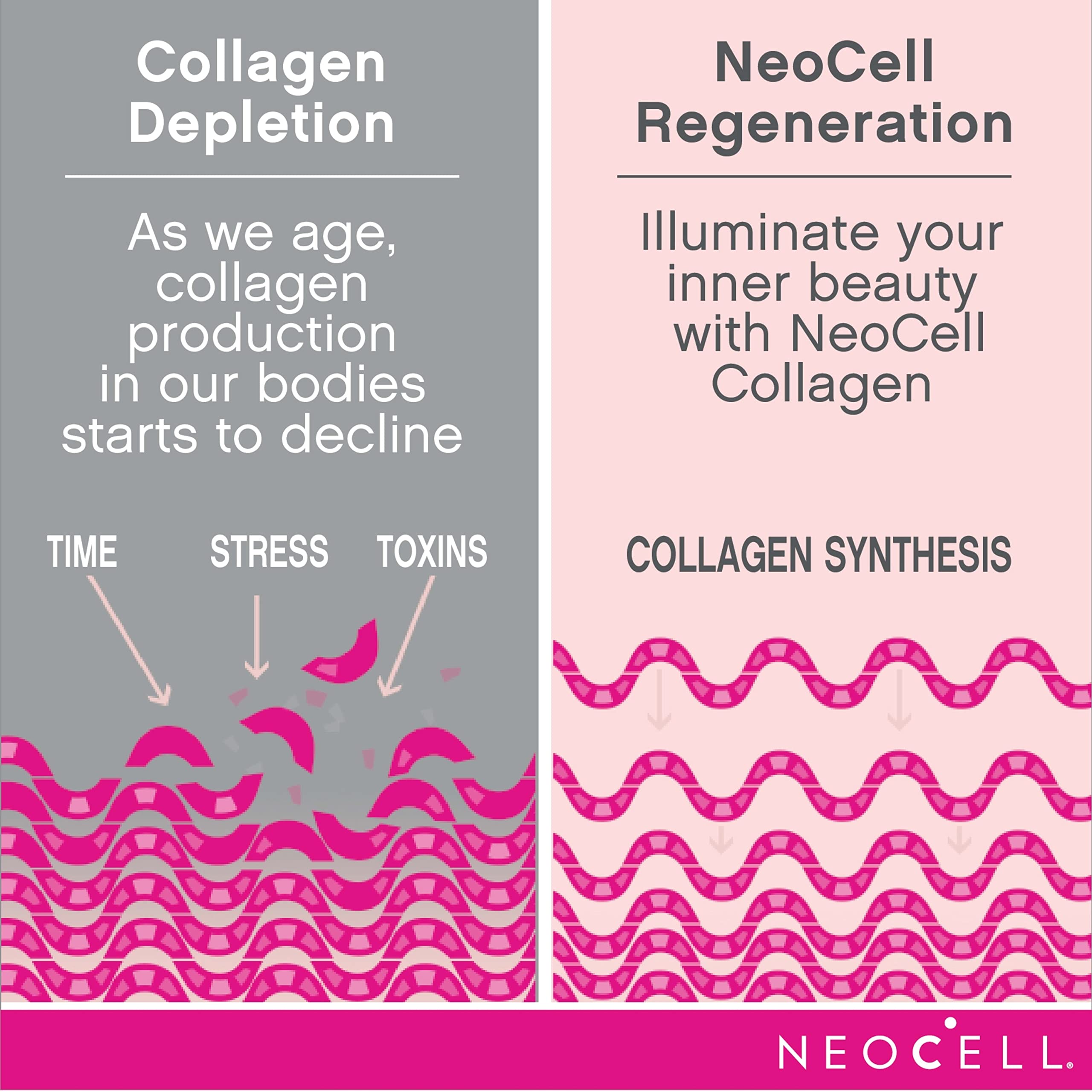 Dose mesurée de NeoCell Collagène Beauté Infusion facilitant la dissolution.