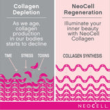 Dose mesurée de NeoCell Collagène Beauté Infusion facilitant la dissolution.