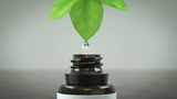Nerve Pain Away: spray topique simple et rapide à utiliser.