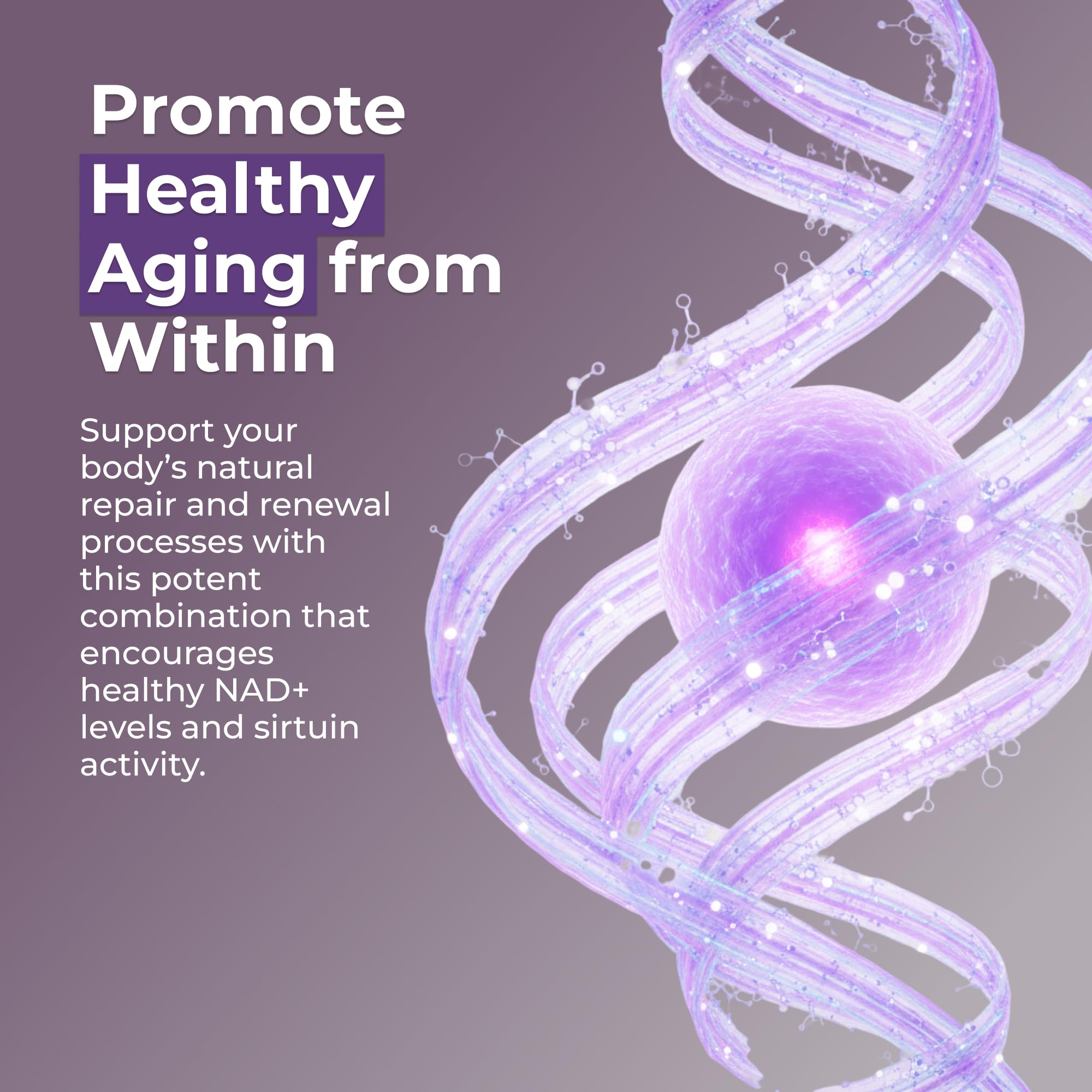 Capsule Neurogan NMN Resveratrol: dosage quotidien pratique