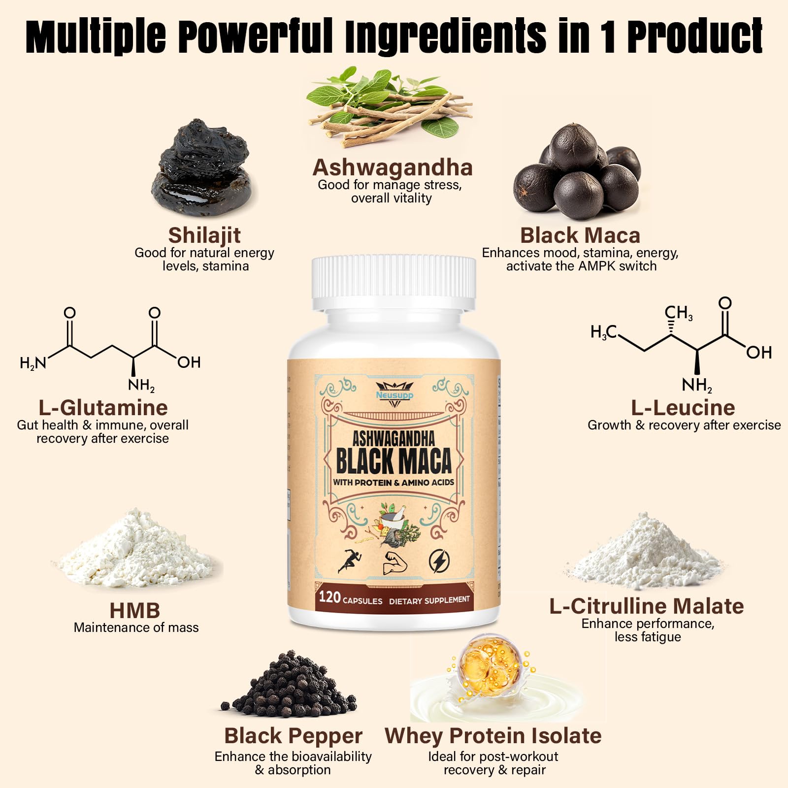 Neusupp récupération musculaire post-entraînement avec isolat protéine et leucine.