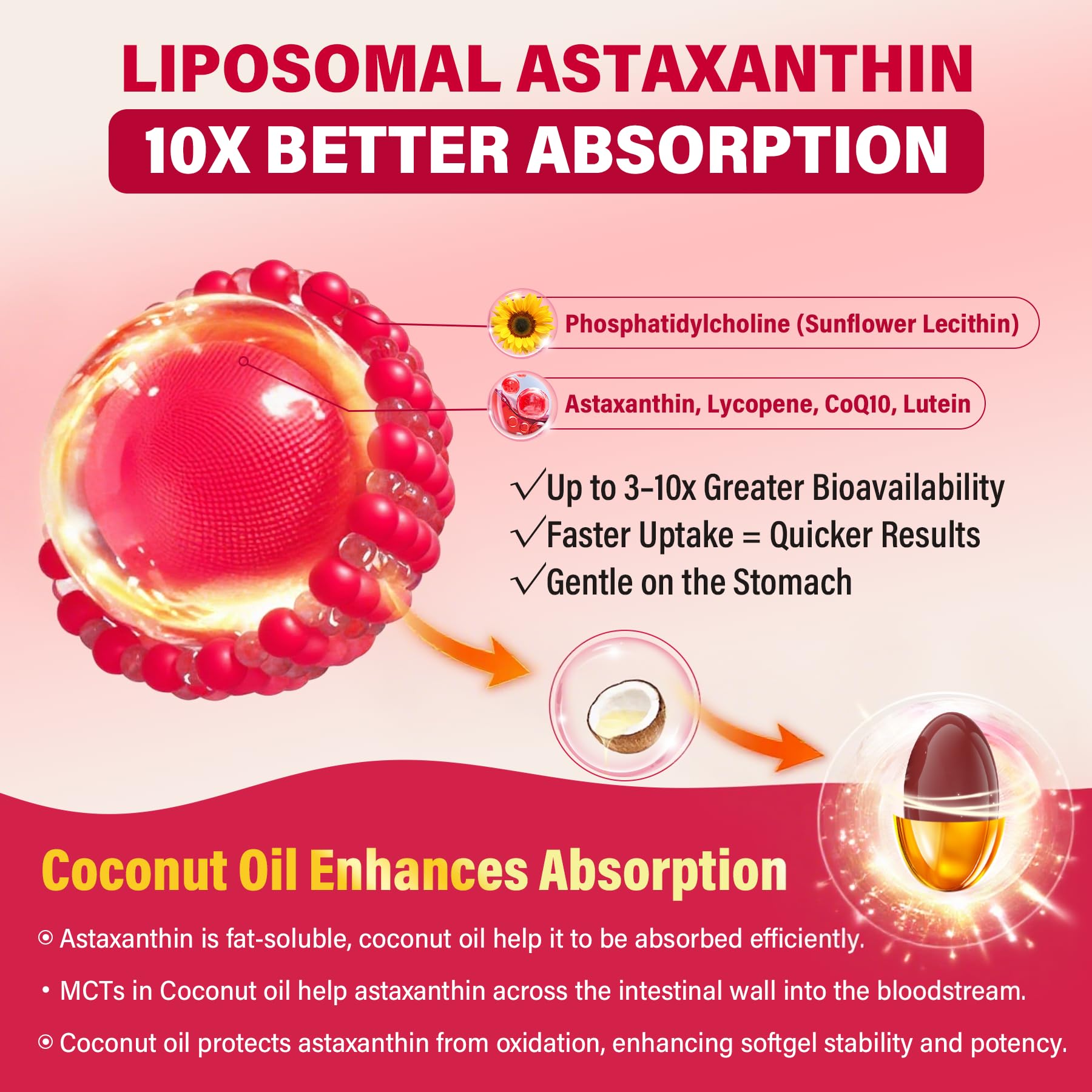 NEVISS astaxanthine liposomale - lycopène intégré pour un soutien antioxydant potentiel.