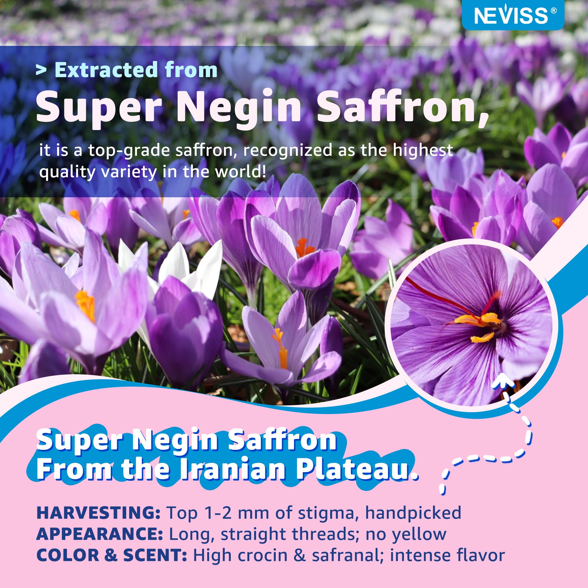 NEVISS gommes safran journée – usage quotidien et apprentissage