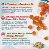 Ingrédients clés: tyrosine et théanine avec NEVISS pour équilibre mental.
