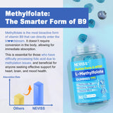 Utilisation quotidienne recommandée des gummies NEVISS L-methylfolate
