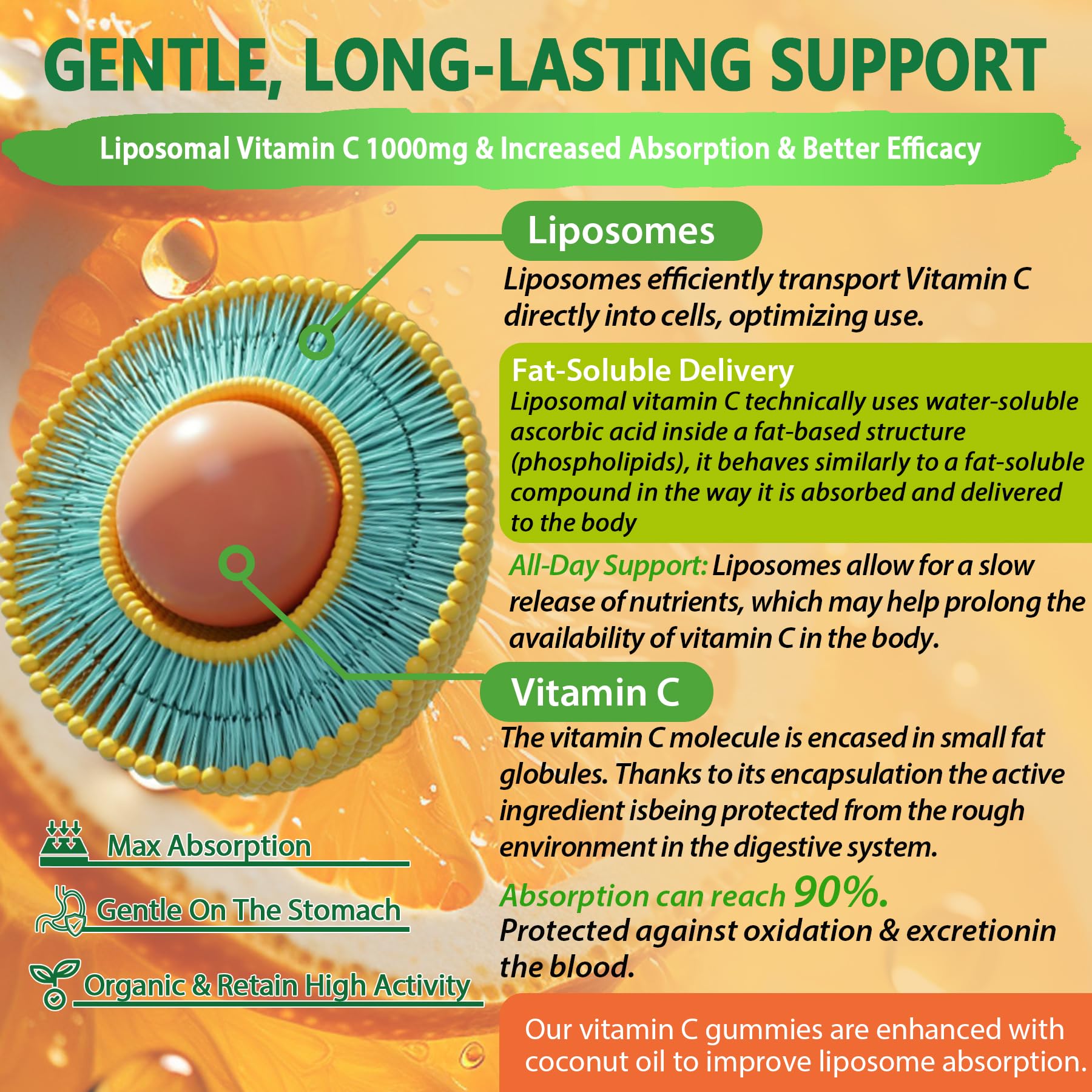 NEVISS vitamine C liposomale 1000mg: liste d'ingrédients claire.