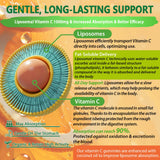 NEVISS vitamine C liposomale 1000mg: liste d'ingrédients claire.
