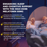 NEVISS Mélatonine 60mg — Cycle sommeil potentiellement régulier grâce à l’association complète.