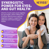 NEVISS Gommes sans sucre – goût naturel et option vegan sans sucre ajouté