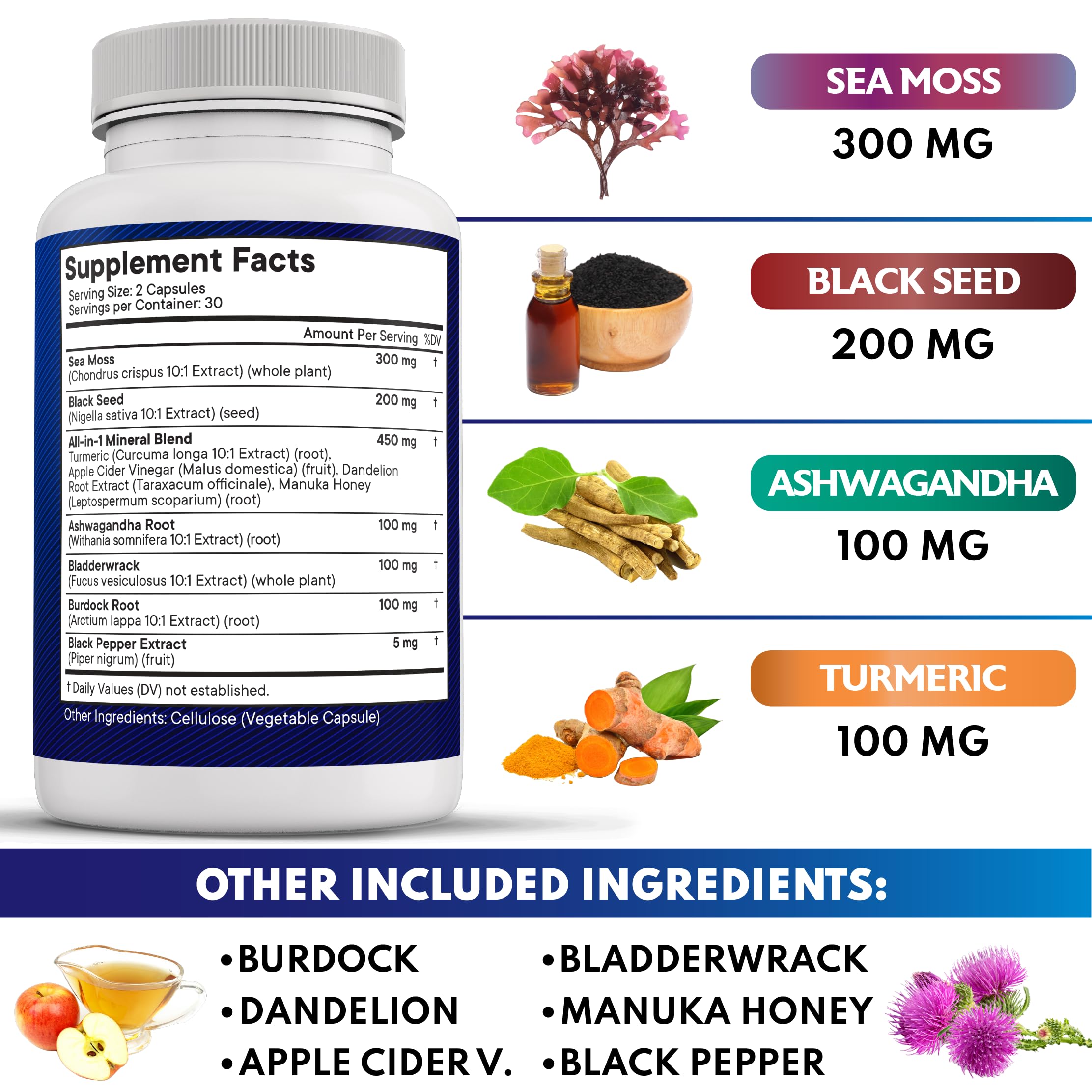 NEW AGE capsules curcuma burdock bardane — combinaison équilibrée pour le quotidien.