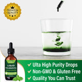 NEW AGE Chlorophylle Liquide: désholique interne pratique pour routine quotidienne.