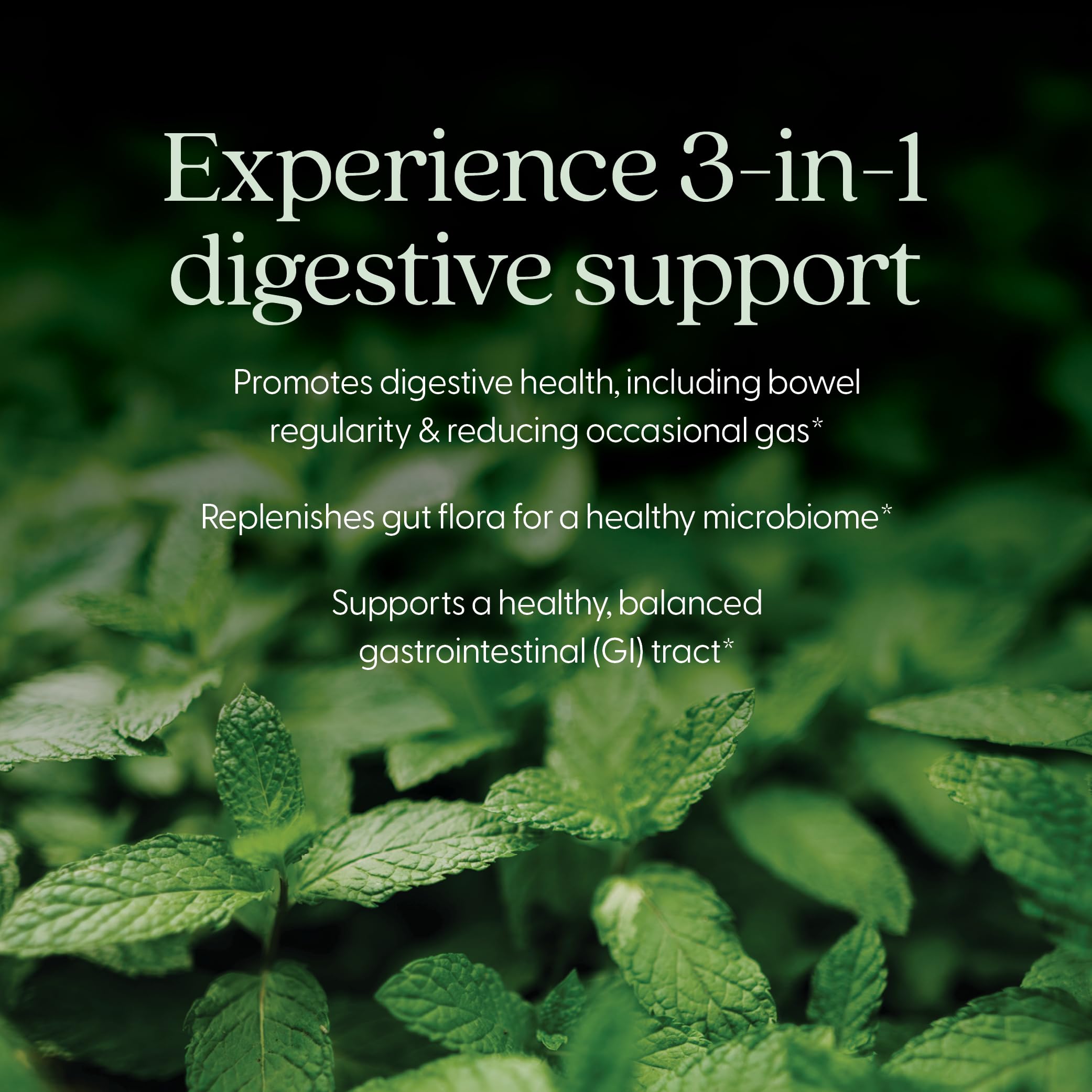 New Chapter All-Flora – Ingrédients Aloe, Menthe et Artichaut pour le confort intestinal.