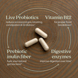 New Chapter All-Flora: gélules probiotiques et vitamine B12 fermentée soutiennent le métabolisme.
