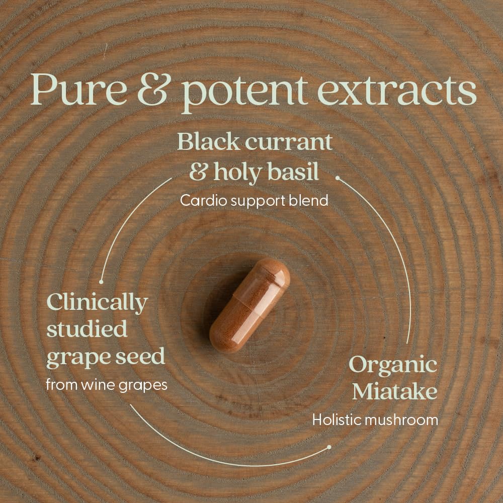 New Chapter Blood Pressure Take Care — gélules: formulation végétale adaptée au mode de vie vegan