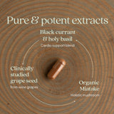 New Chapter Blood Pressure Take Care — gélules: formulation végétale adaptée au mode de vie vegan