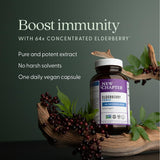 New Chapter Elderberry Force – certification non-genetiquement modifiée, produit sûr et transparent.