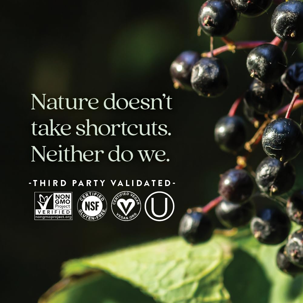 New Chapter Elderberry Force – fruits de sureau noir mis en valeur.