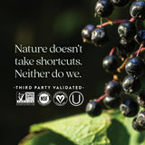 New Chapter Elderberry Force – fruits de sureau noir mis en valeur.