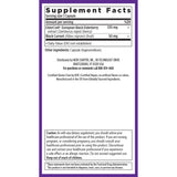 New Chapter Elderberry Force – groseille noire pour antioxydants potentiels, complément efficace.