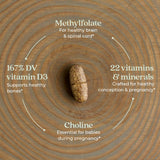 New Chapter Prenatal – dose de gingembre pour le confort digestif et les nausées possibles.