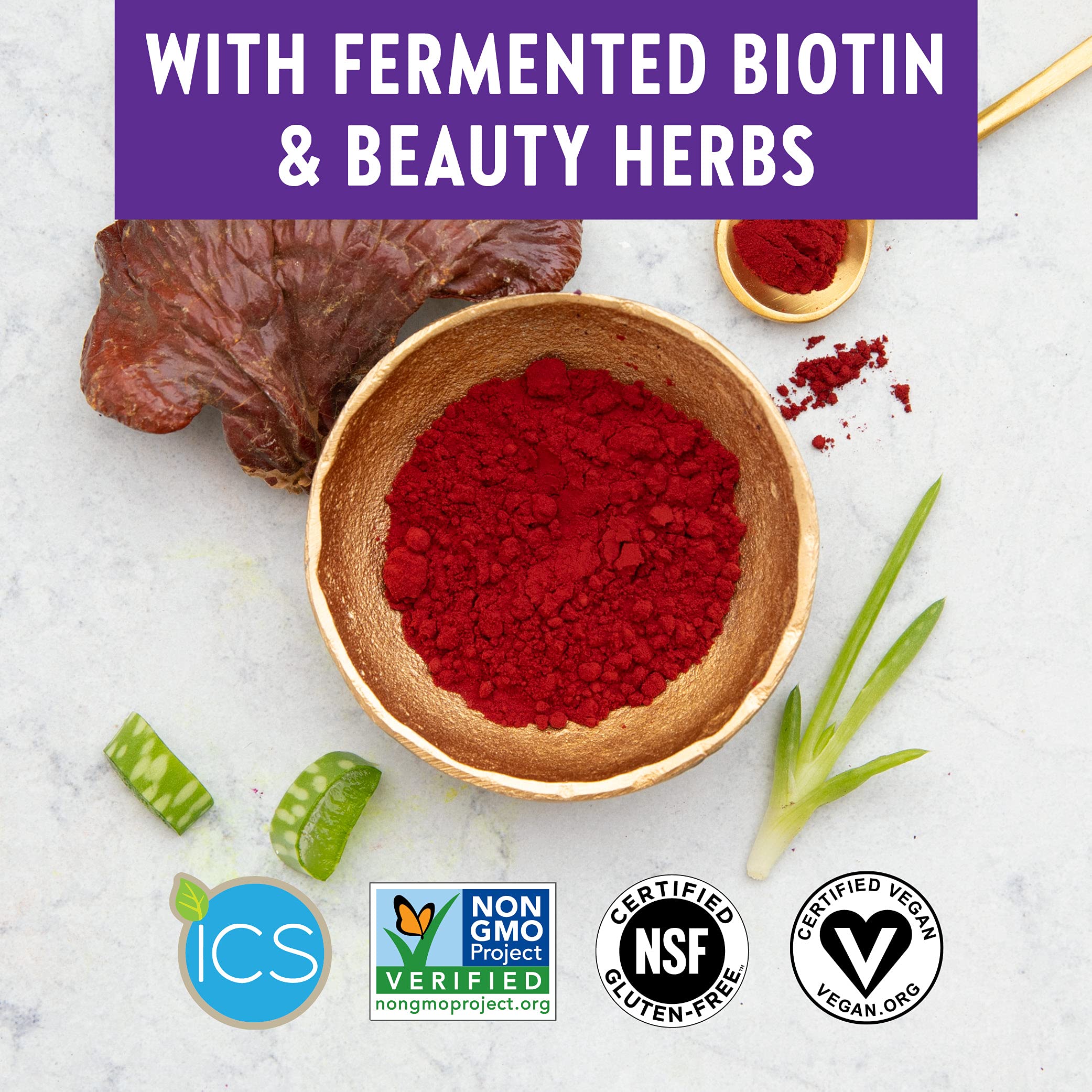 New Chapter superfood énergisants soutiennent digestion et vitalité.
