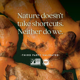 New Chapter Turmeric One Daily — gélules et composition pour absorption efficace.