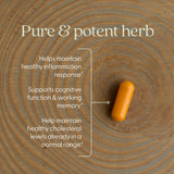 New Chapter Turmeric One Daily — étiquette recto visible, présentation claire du produit.