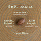 New Chapter Complexe B Fermenté — maca biologique et pépins de raisin