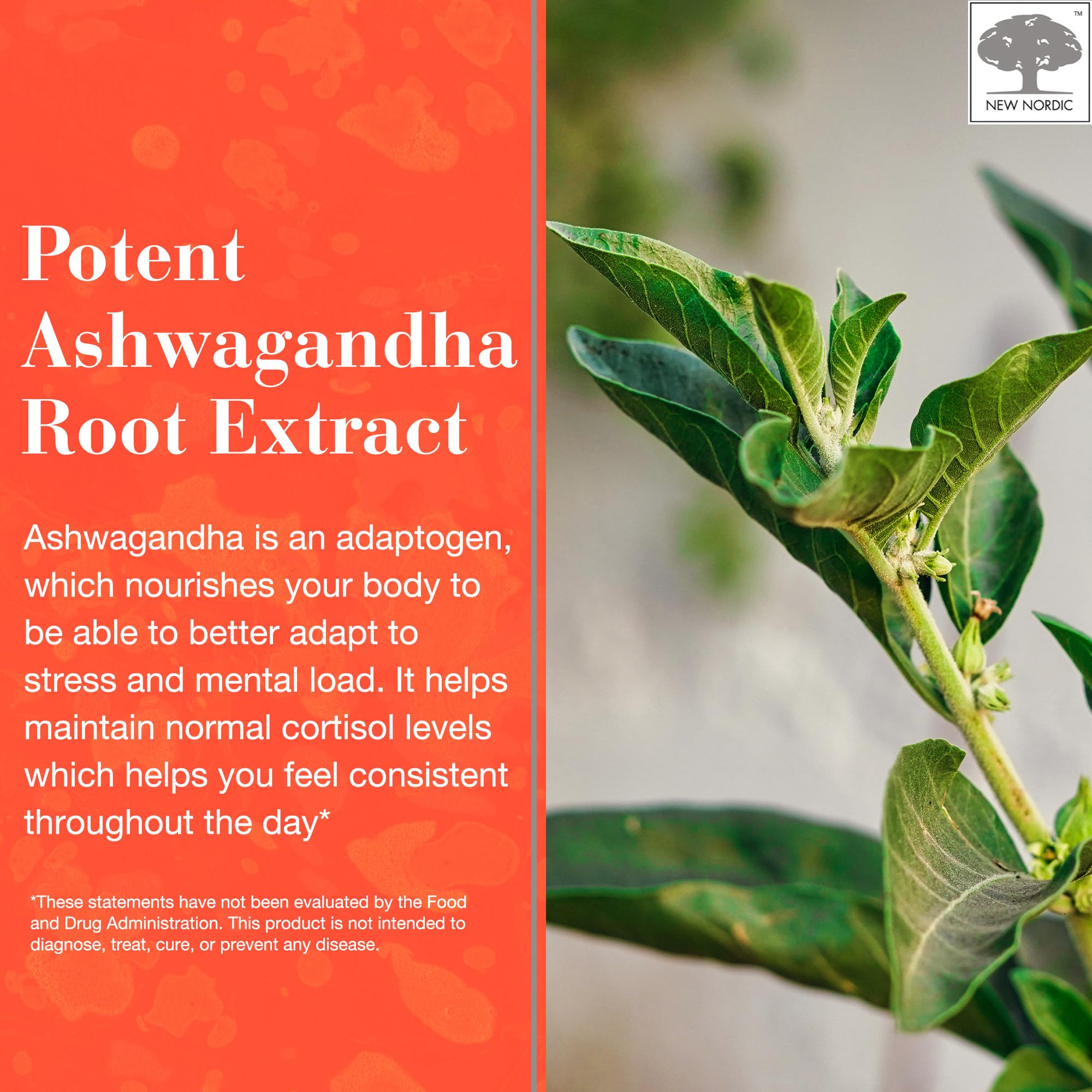 NEW NORDIC Ashwagandha Gummies : texture douce et agréable à mâcher