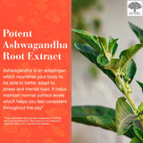 NEW NORDIC Ashwagandha Gummies : texture douce et agréable à mâcher