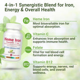NEW ROOTS HERBAL – B12 et folate soutiennent énergie et formation sanguine.