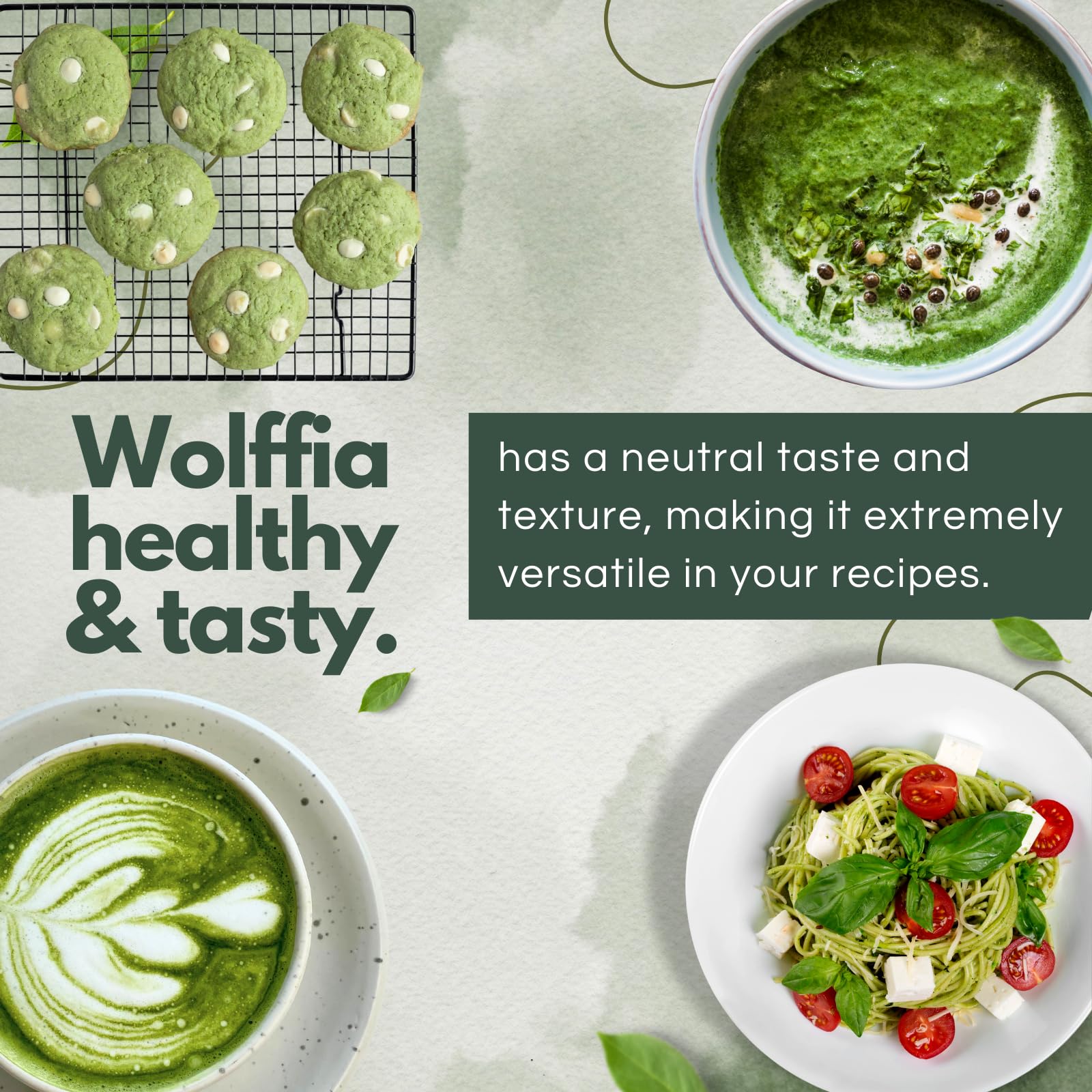 Newday Bottles: poudre Wolffia Globosa sans additifs pour une alimentation naturelle.