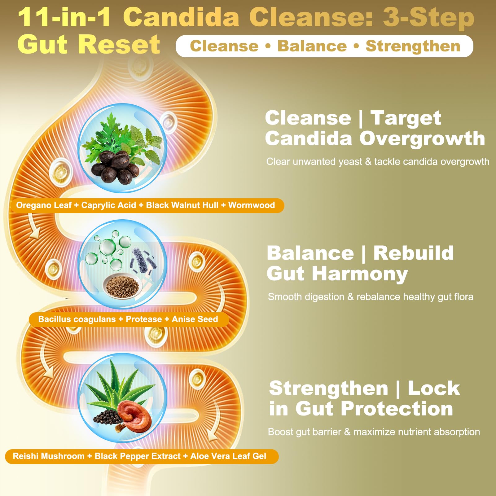 Newpie Candida Cleanse: armoise et noix noire, combinaison botanique efficace.