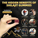 Gommes Shilajit Newrish avec Ashwagandha et Gokshura, goût raffiné et équilibré.