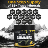 Gomme Shilajit Newrish sur plan de travail, qualité biologique.