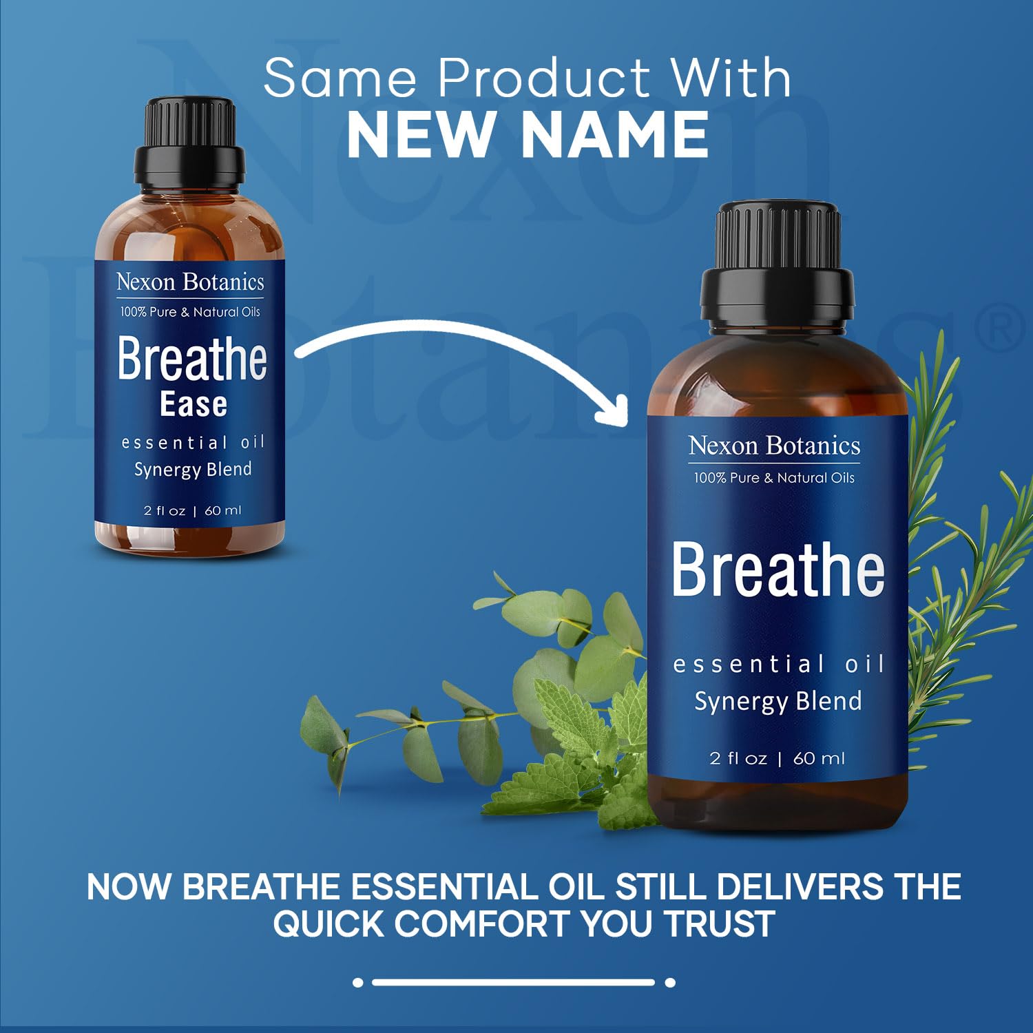 Menthe Poivrée Nexon Botanics: profil frais idéal pour inhalation.