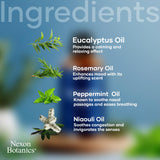 Nexon Botanics Romarin: arôme stimulant pour diffusion apaisante.